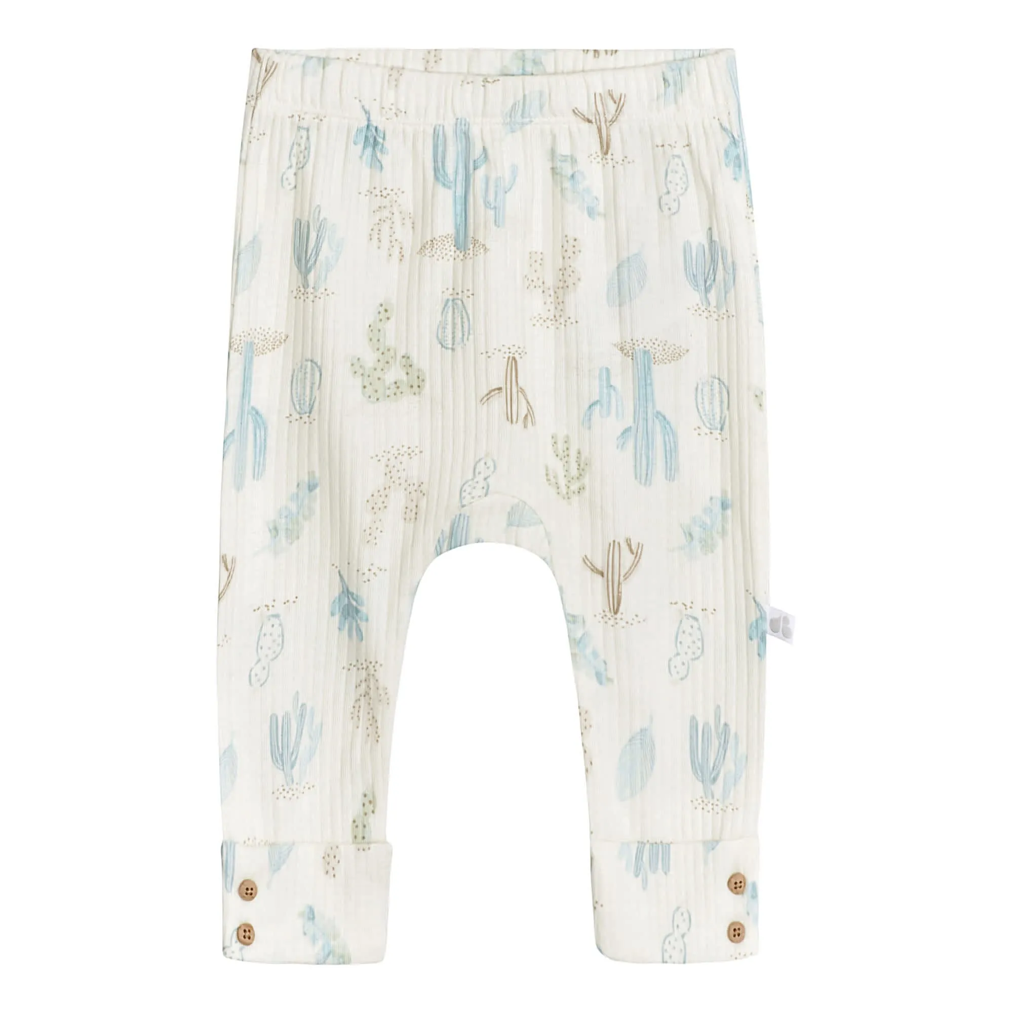 2-Pack Baby Boys Desert Cactus Pants