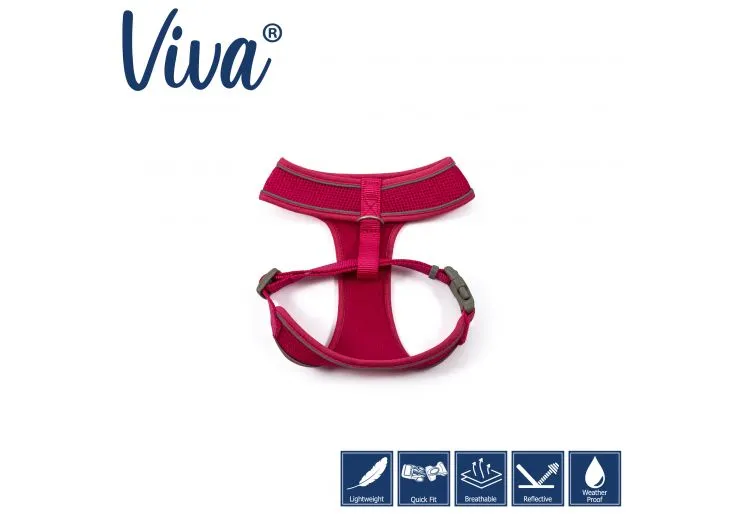 Ancol - Viva Comfort Mesh Harness - Blue - Large (53-74cm)