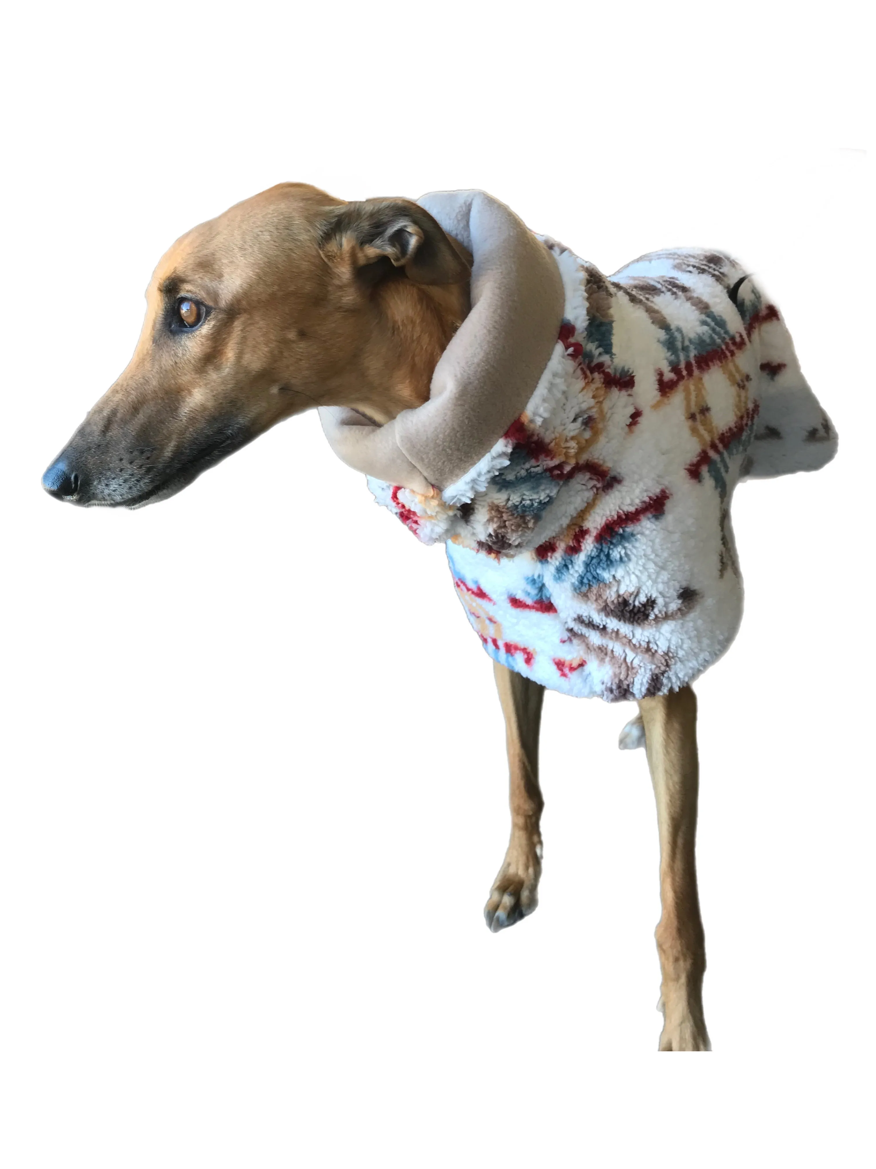 Baby soft Sherpa deluxe style greyhound coat with snuggly wide neck roll