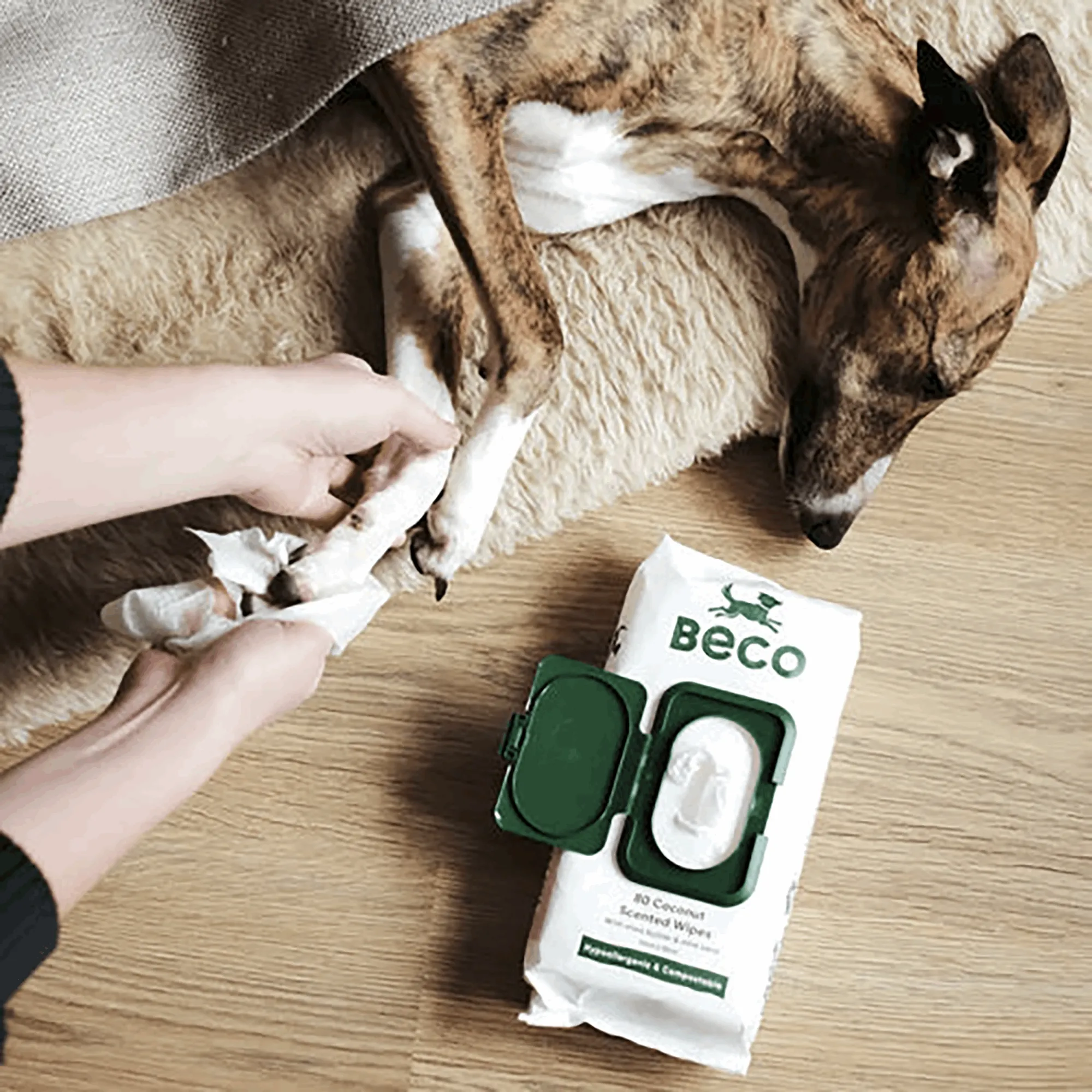 Bamboo Dog Wipes | Coconut Scented 80 Pack