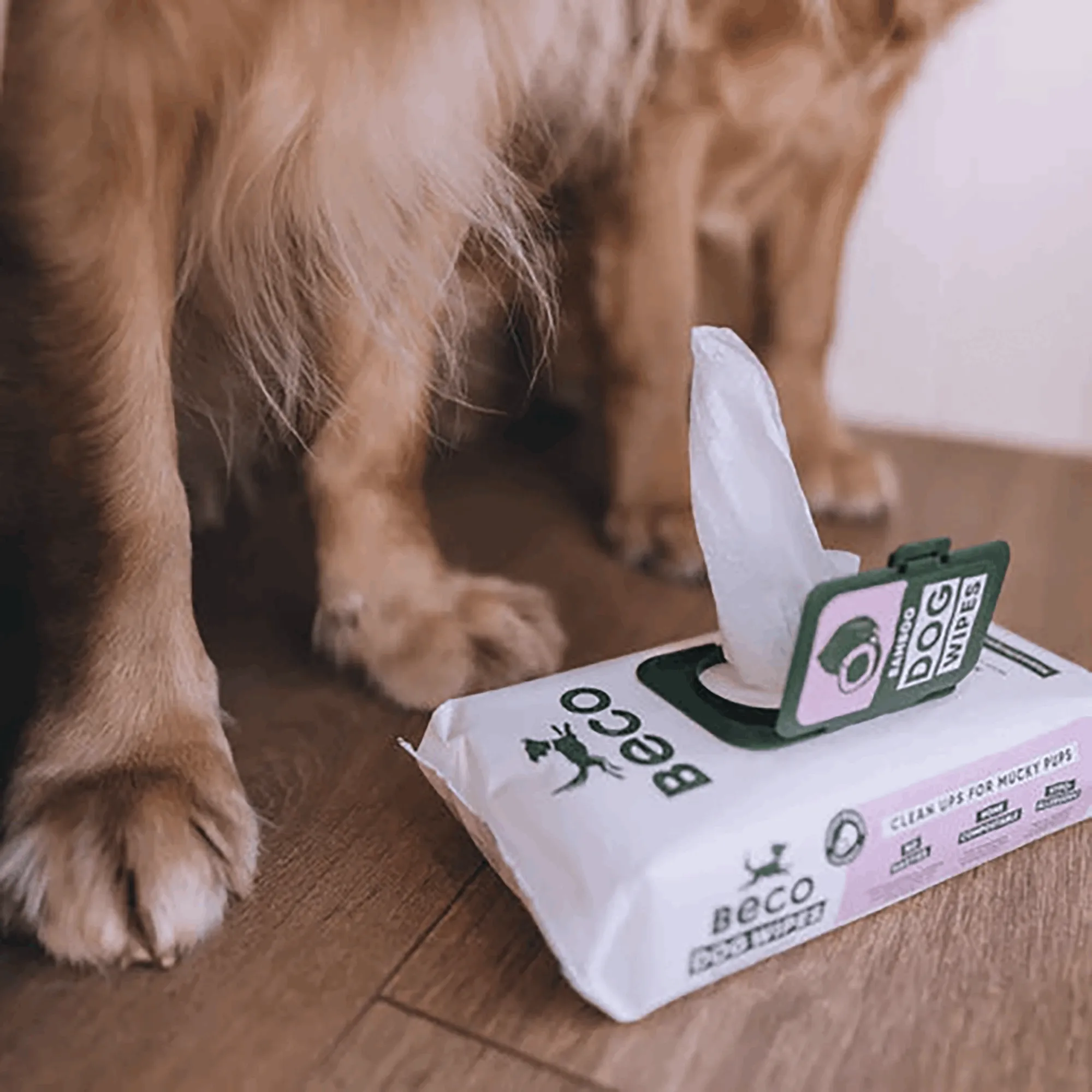 Bamboo Dog Wipes | Coconut Scented 80 Pack