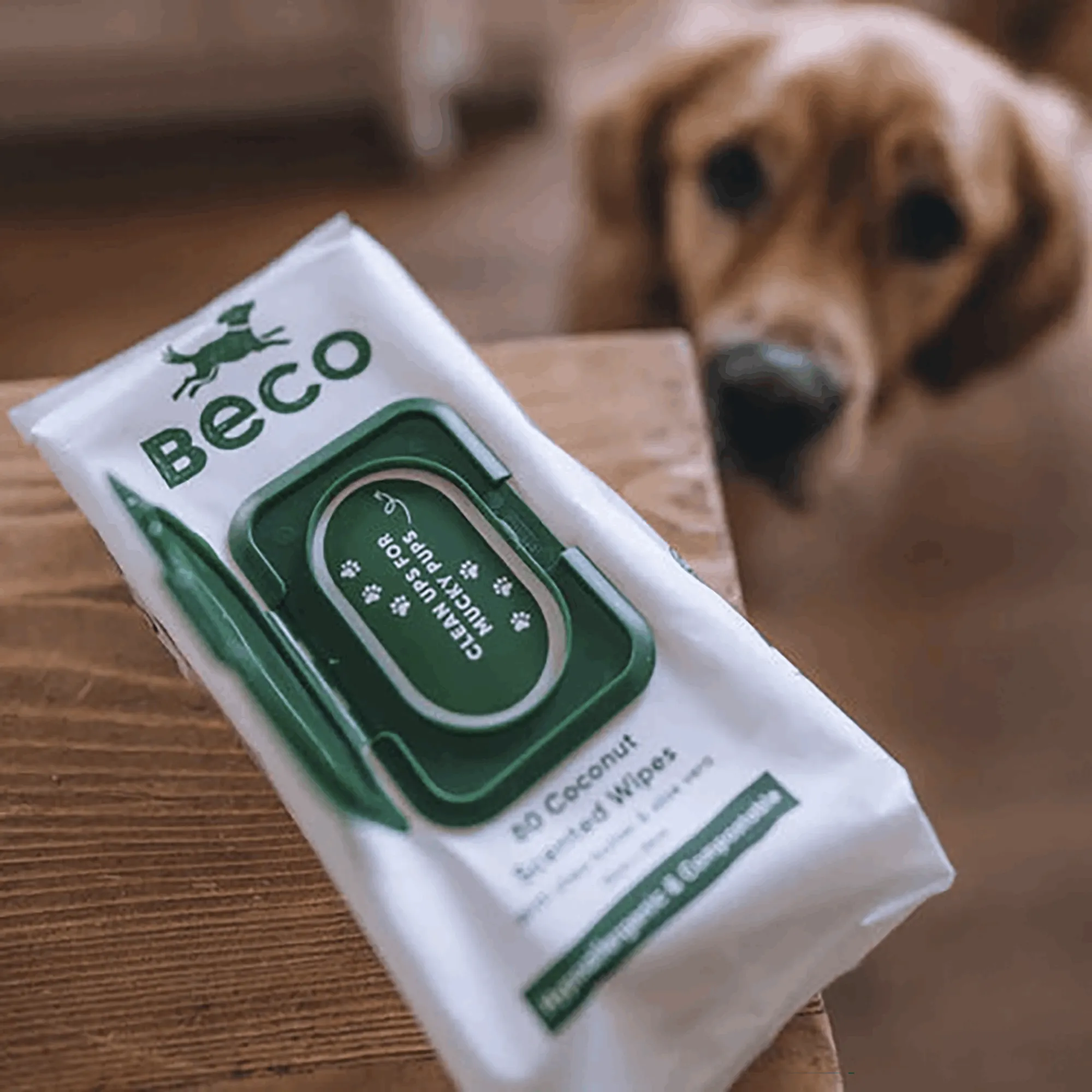 Bamboo Dog Wipes | Coconut Scented 80 Pack