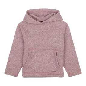 Kid's Synchilla Sweater Hoody