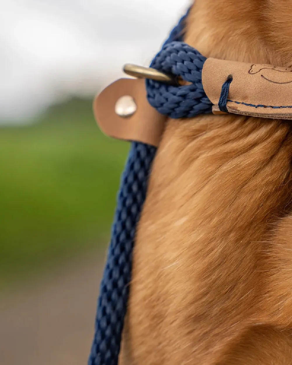 Ruff & Tumble Dog Clip Leads